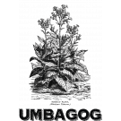 Umbagog Corona Gorda - 5 Pack